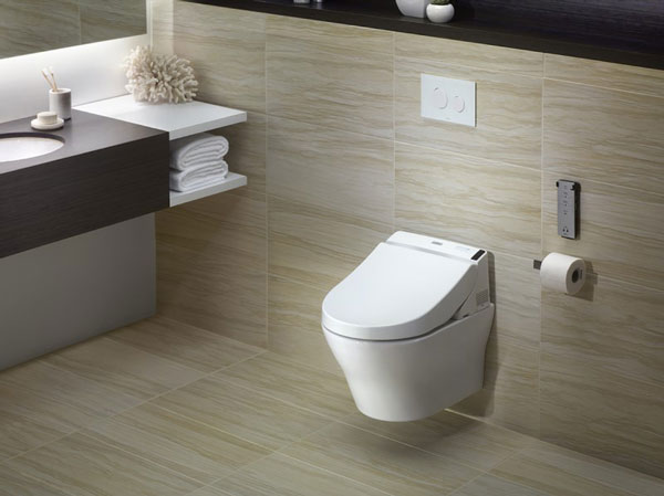 giá bồn cầu âm tường