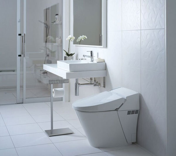 giá bồn cầu âm tường