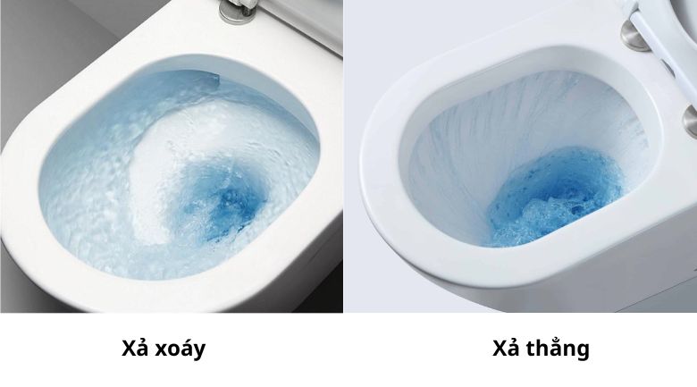 Hệ thống xả của bồn cầu