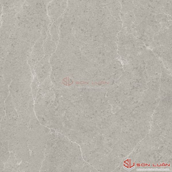 Gạch ốp lát Apodio A36SA401