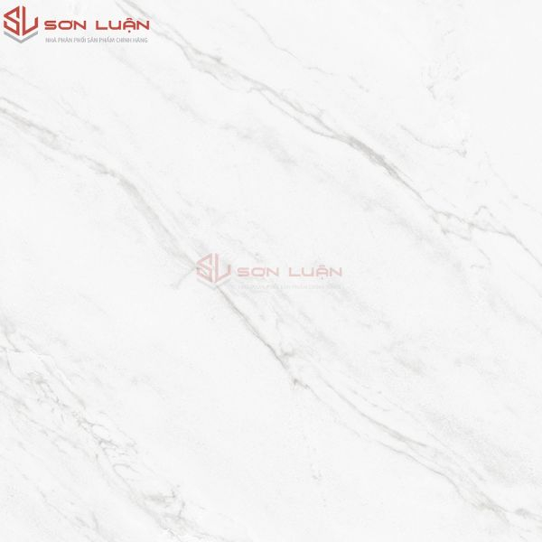 Gạch Ốp Lát APODIO 48308