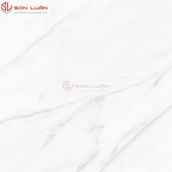 Gạch Ốp Lát APODIO 61121017
