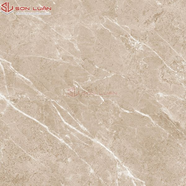 Gạch Ốp Lát APODIO 61222011