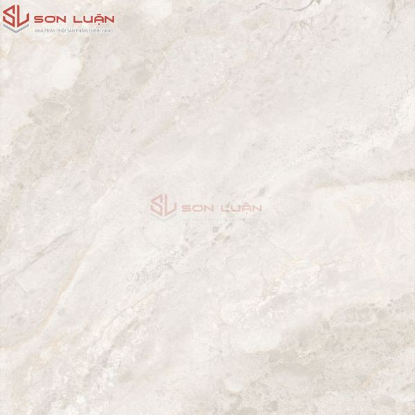 Gạch Ốp Lát APODIO A48SW802 – A48SG902D – A48SG902