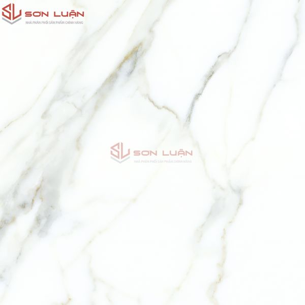 Gạch Ốp Lát APODIO 66161001