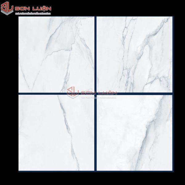 Gạch Ốp Lát APODIO 66181023