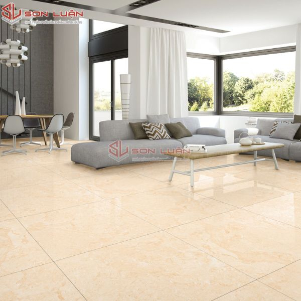 Gạch Ốp Lát APODIO 66222013