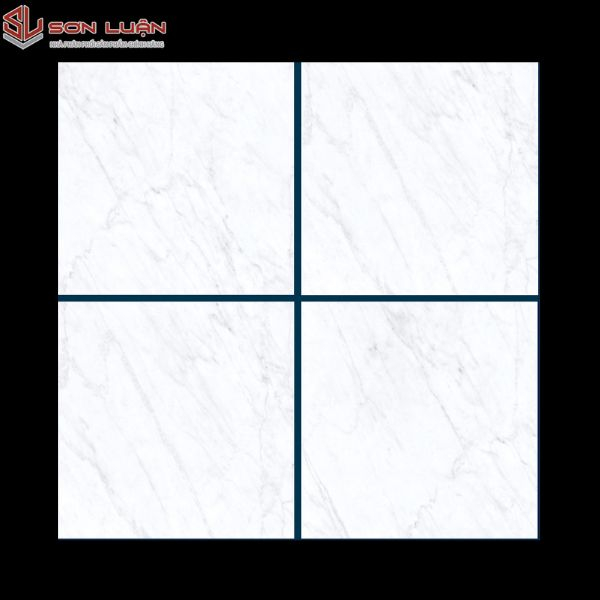 Gạch Ốp Lát APODIO 66281005