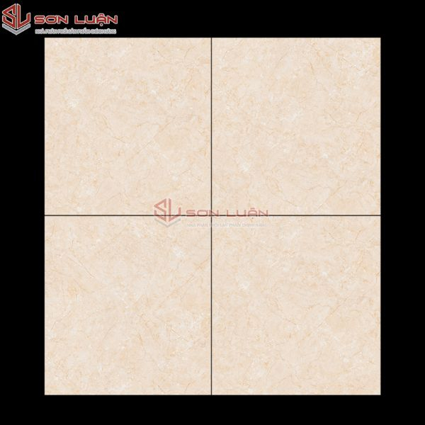 Gạch Ốp Lát APODIO 66282010