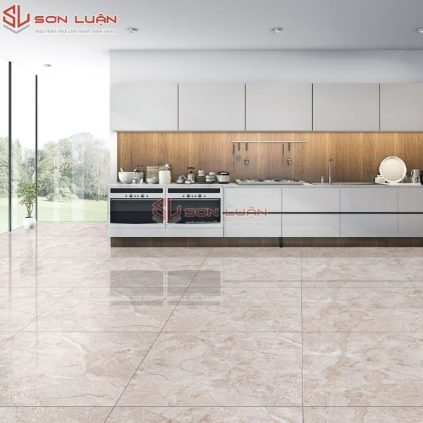 Gạch Ốp Lát APODIO 66282011
