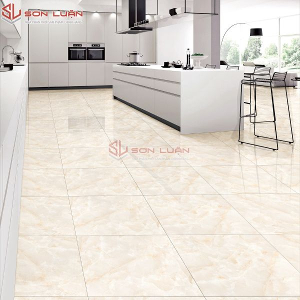 Gạch Ốp Lát APODIO 66282018