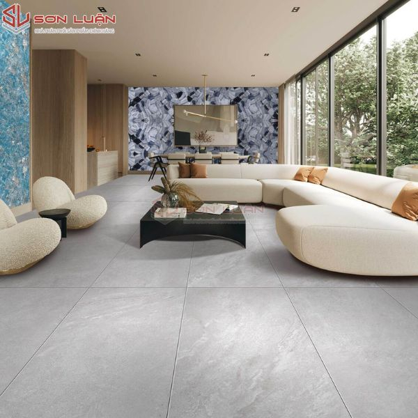 Gạch Ốp Lát APODIO 61265003
