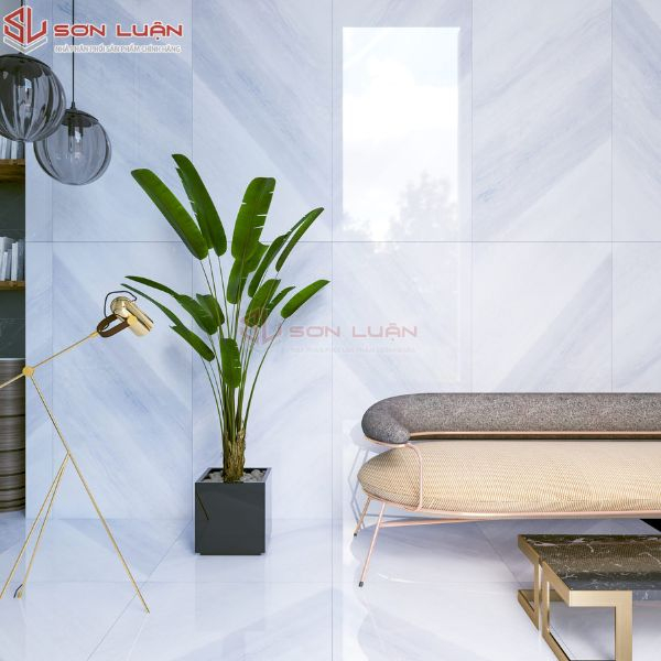 Gạch Ốp Lát APODIO 61285054