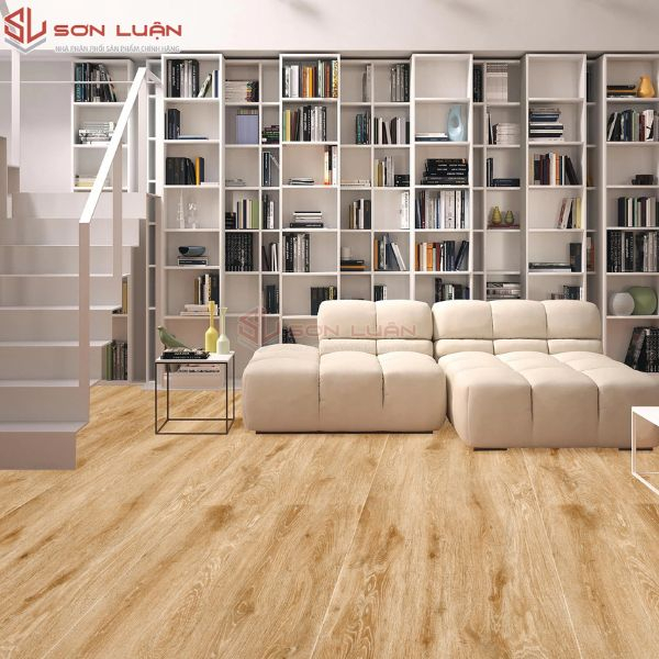 Gạch Ốp Lát APODIO 61312204