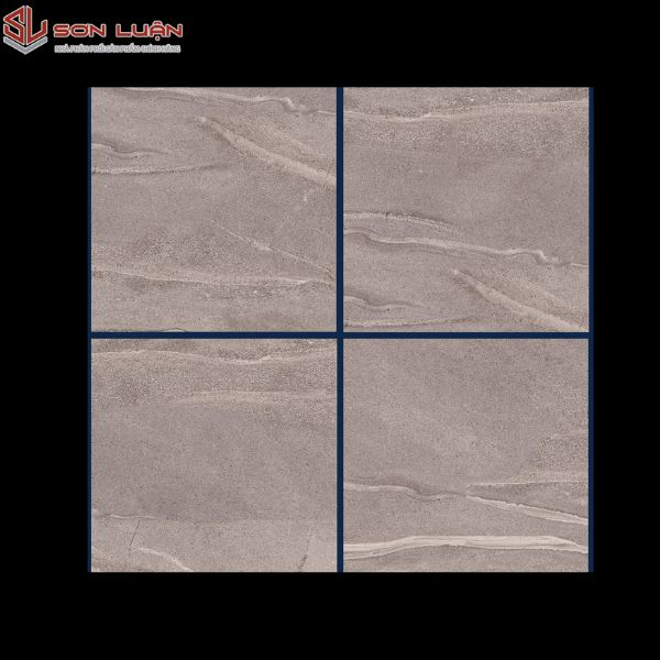Gạch Ốp Lát APODIO 66283021