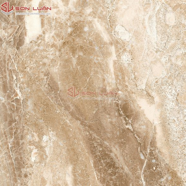 Gạch Ốp Lát APODIO 66283037