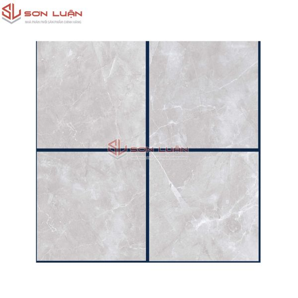 Gạch Ốp Lát APODIO 66284028