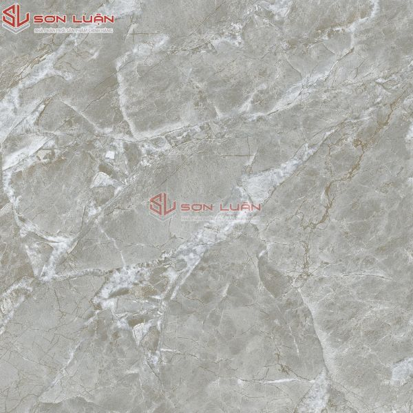 Gạch Ốp Lát APODIO 66284050