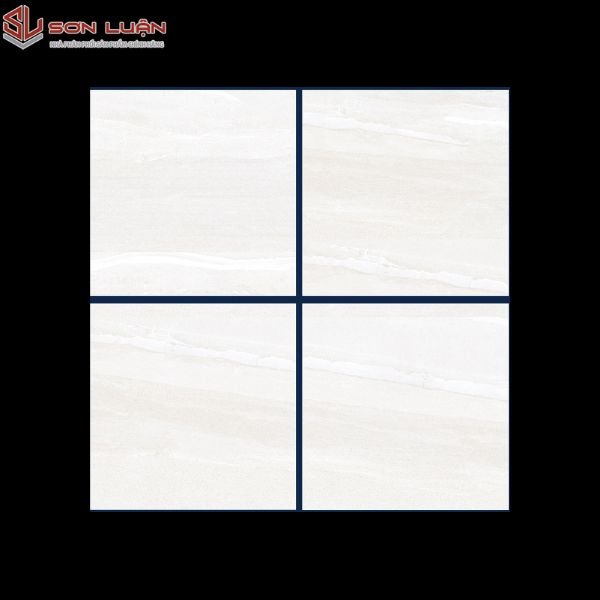 Gạch Ốp Lát APODIO 66285022