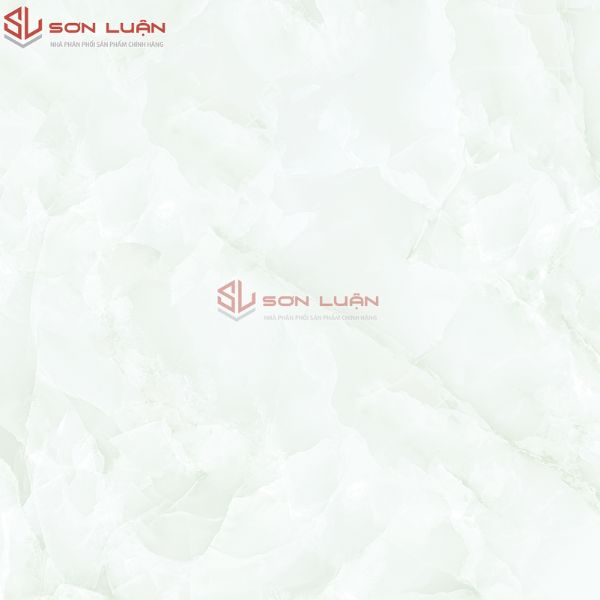 Gạch Ốp Lát APODIO 66285031