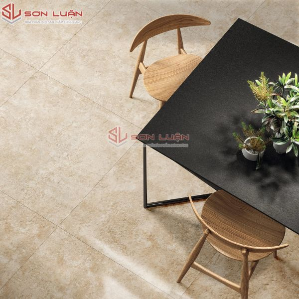 Gạch Ốp Lát APODIO 66454504