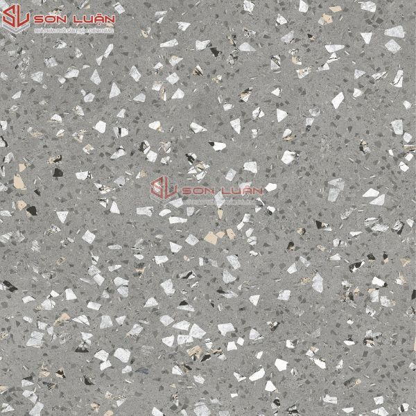Gạch Ốp Lát APODIO 66TZ7602