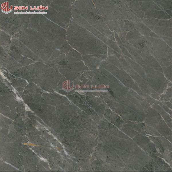 Gạch Ốp Lát APODIO FA662205