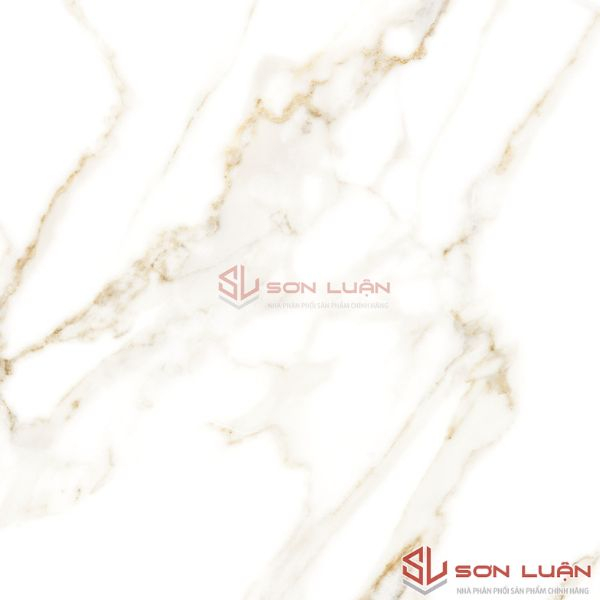 Gạch Ốp Lát APODIO 61181058