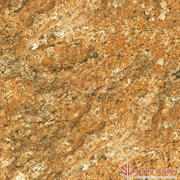 Gạch Ốp Lát APODIO 61283047