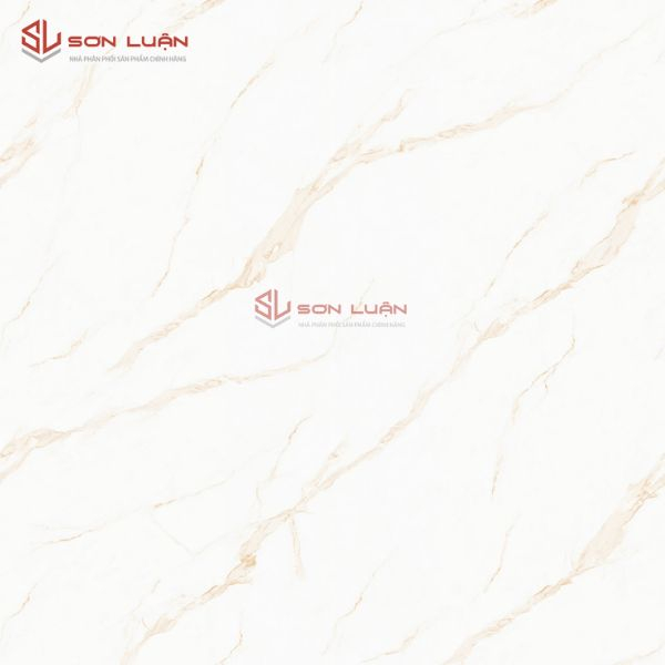Gạch Ốp Lát Apodio 88183056