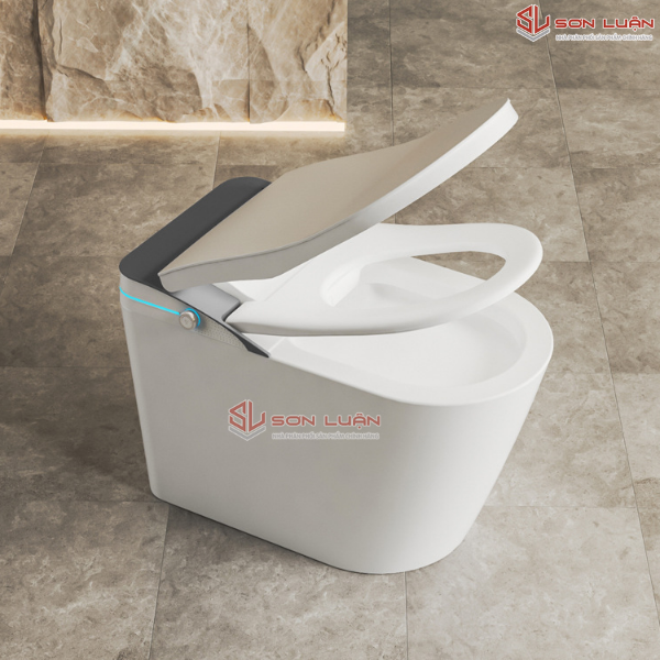 Nắp bồn cầu tự động đóng mở